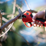 Moonval Cordless Pruning Shears, Rechargeable Electric Fruit Tree Trimmer for Precision Cutting