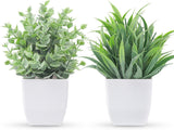 Der Rose 2 Packs Small Fake Plants Mini Artificial Potted Plants for Table Desk Home Bathroom Office Decor Indoor