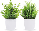 Der Rose 2 Packs Small Fake Plants Mini Artificial Potted Plants for Table Desk Home Bathroom Office Decor Indoor