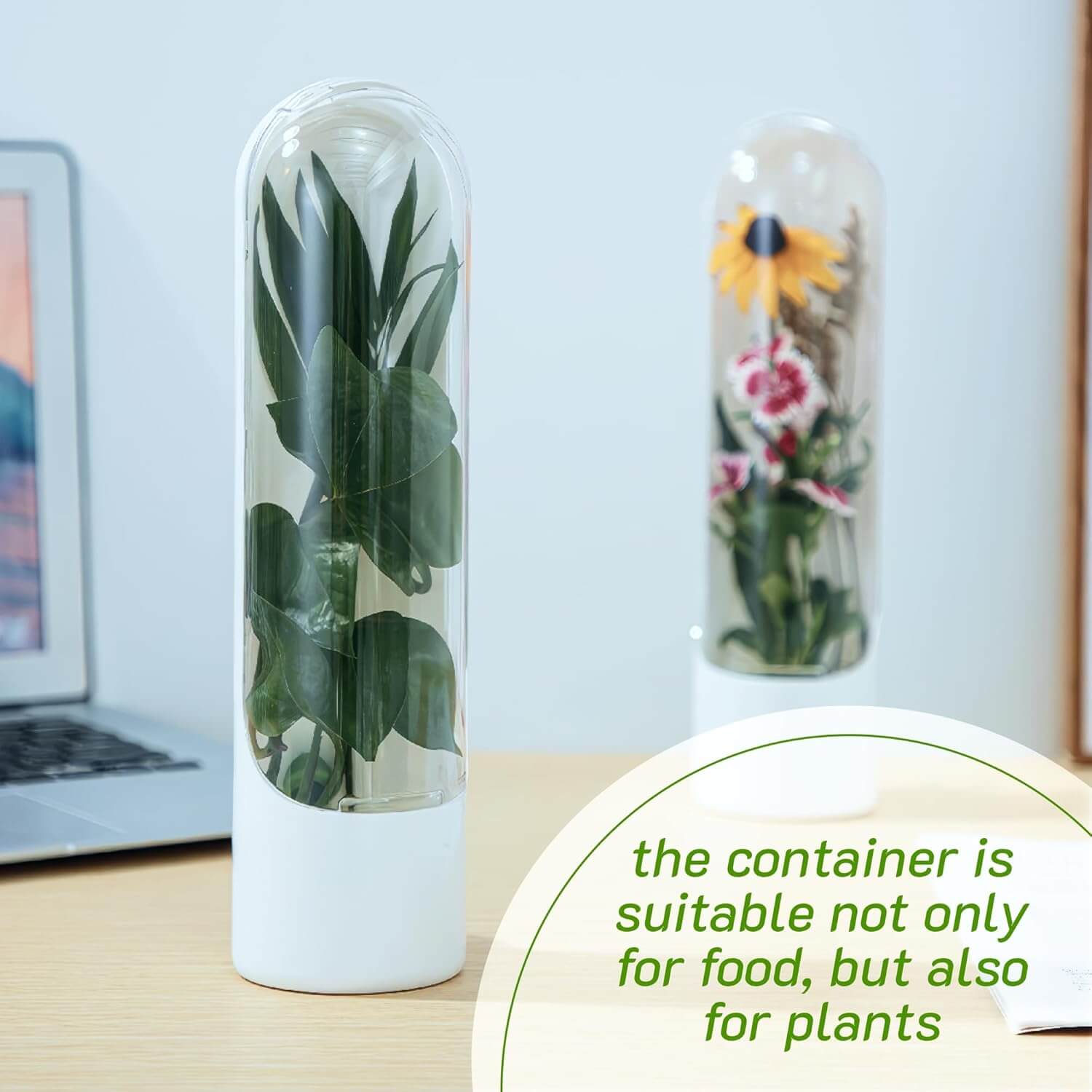 Moonval Herb Keeper Pod, Fresh Herb Storage Container for Cilantro, Parsley & Leafy Greens