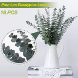 Moonval Preserved Dried Eucalyptus Stems, 16-Piece Natural Branches for Shower, Vase & Home Decor