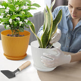 Moonval Plastic Flower Pots, 5-Pack 6-Inch Unbreakable Planters with Drainage & Saucers