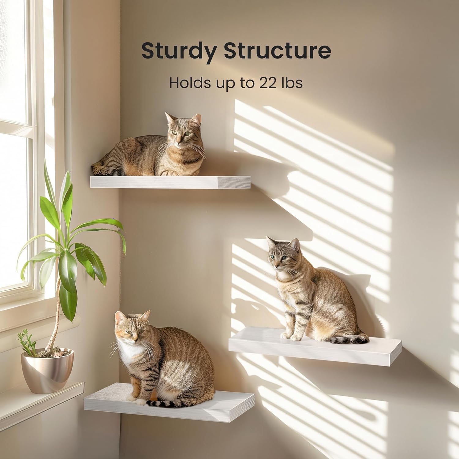 Moonval Floating Wall Shelves, Set of 3 White Storage & Display Shelves with Invisible Brackets