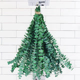 Moonval Preserved Dried Eucalyptus Stems, 16-Piece Natural Branches for Shower, Vase & Home Decor