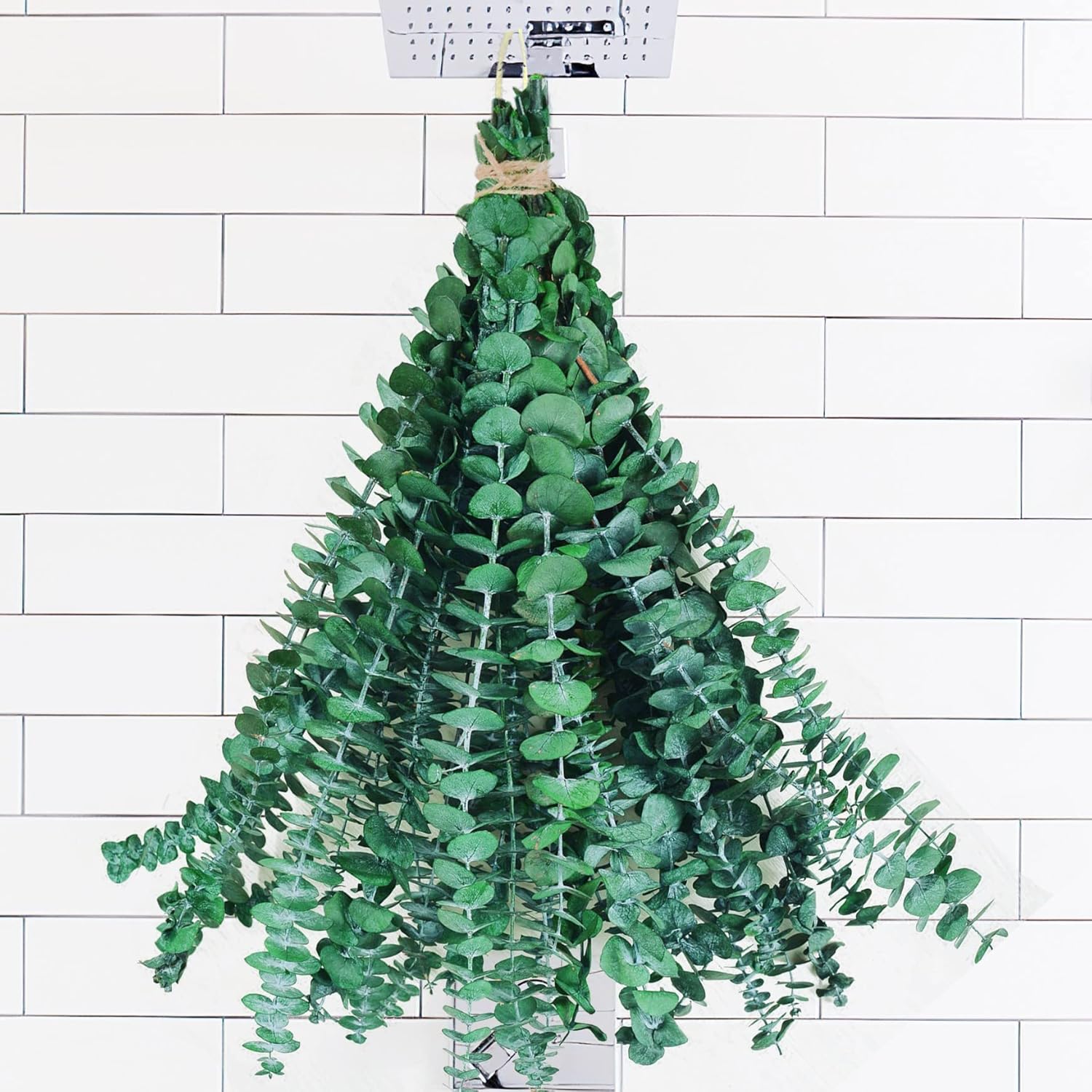 Moonval Preserved Dried Eucalyptus Stems, 16-Piece Natural Branches for Shower, Vase & Home Decor