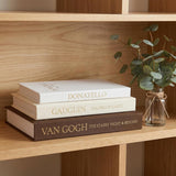 Moonval Decorative Faux Book Box Set, Set of 3 Linen Storage Books with Hidden Compartment