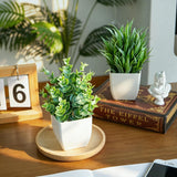 Der Rose 2 Packs Small Fake Plants Mini Artificial Potted Plants for Table Desk Home Bathroom Office Decor Indoor