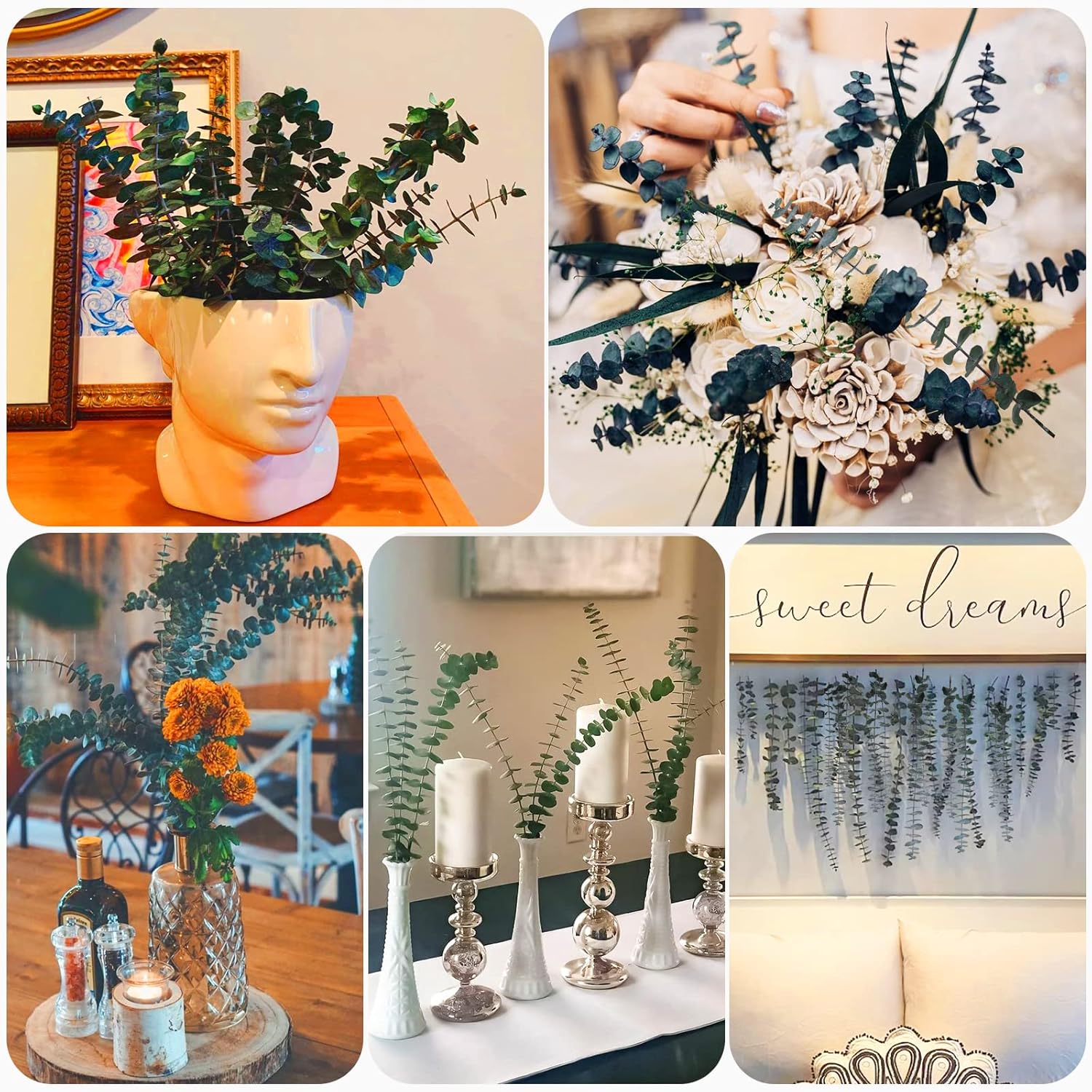 Moonval Preserved Dried Eucalyptus Stems, 16-Piece Natural Branches for Shower, Vase & Home Decor