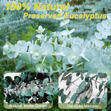 Moonval Preserved Dried Eucalyptus Stems, 16-Piece Natural Branches for Shower, Vase & Home Decor
