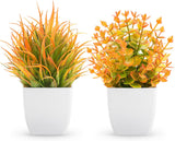 Der Rose 2 Packs Small Fake Plants Mini Artificial Potted Plants for Table Desk Home Bathroom Office Decor Indoor