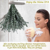 Moonval Preserved Dried Eucalyptus Stems, 16-Piece Natural Branches for Shower, Vase & Home Decor