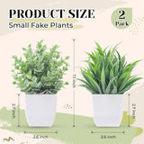 Der Rose 2 Packs Small Fake Plants Mini Artificial Potted Plants for Table Desk Home Bathroom Office Decor Indoor