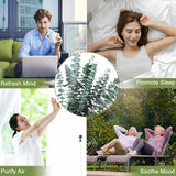 Moonval Preserved Dried Eucalyptus Stems, 16-Piece Natural Branches for Shower, Vase & Home Decor
