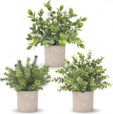 Moonval Mini Artificial Potted Plants, Set of 3 Faux Eucalyptus for Home, Office & Desk Decor