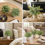 Moonval Mini Artificial Potted Plants, Set of 3 Faux Eucalyptus for Home, Office & Desk Decor