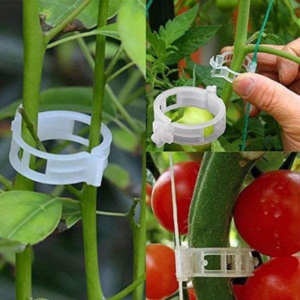 Moonval Plant Ties, Reusable Plastic Garden Plant Support Clips for Vines, Tomatoes & Vegetables