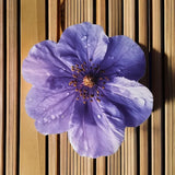 Moonval Kitchen Countertop Mat, Absorbent Quick-Dry Flower Dish Drying & Spill Mat