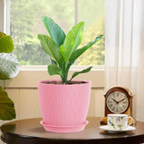 Moonval Plastic Flower Pots, 5-Pack 6-Inch Unbreakable Planters with Drainage & Saucers