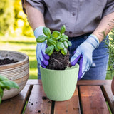 Moonval Plastic Flower Pots, 5-Pack 6-Inch Unbreakable Planters with Drainage & Saucers