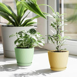 Moonval Plastic Flower Pots, 5-Pack 6-Inch Unbreakable Planters with Drainage & Saucers