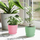Moonval Plastic Flower Pots, 5-Pack 6-Inch Unbreakable Planters with Drainage & Saucers