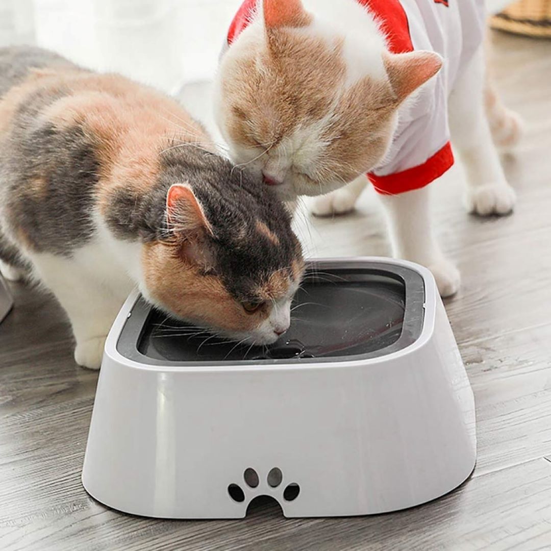 Moonval No-Spill Pet Water Bowl, Splash-Proof Dog & Cat Drinking Bowl with Floating Disk