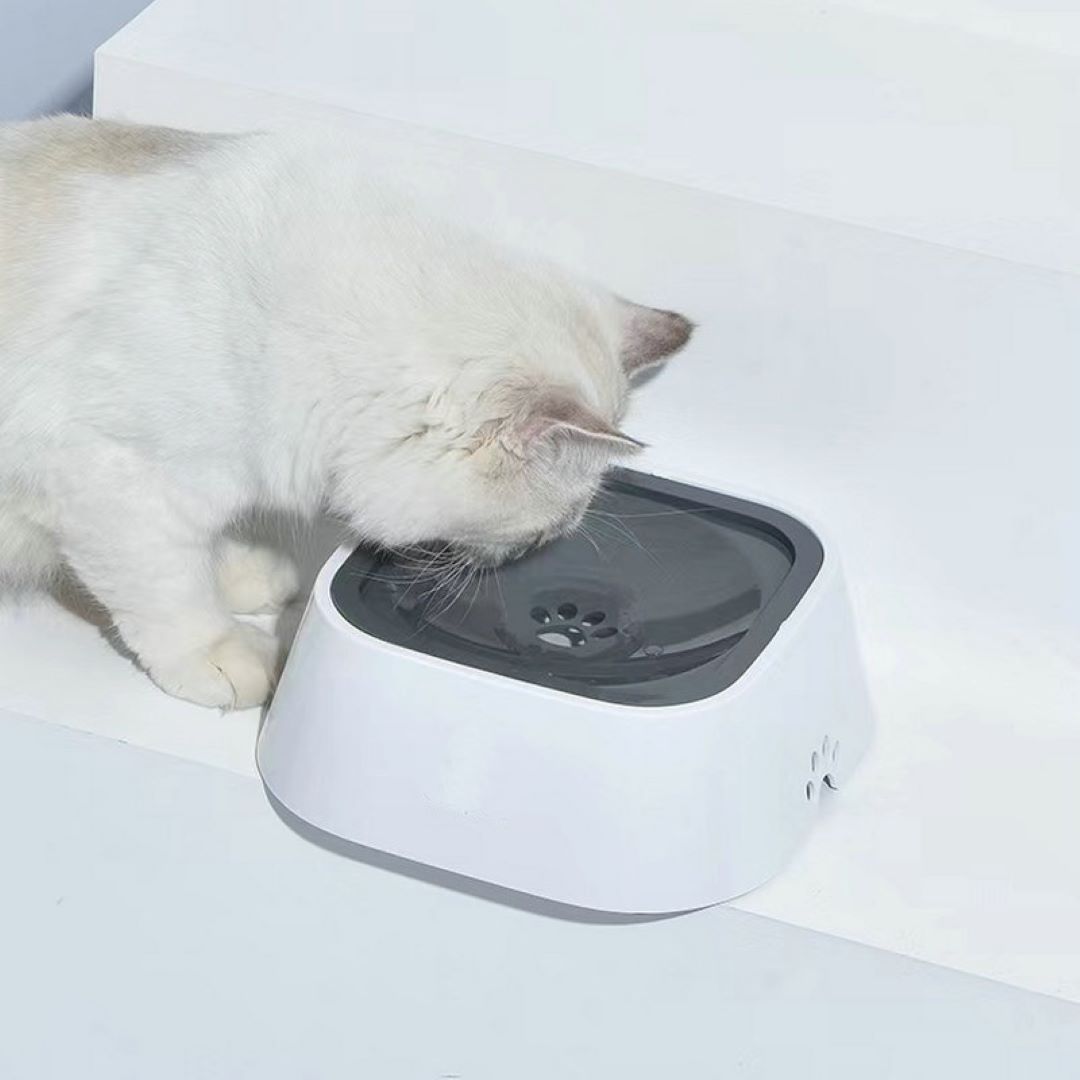 Moonval No-Spill Pet Water Bowl, Splash-Proof Dog & Cat Drinking Bowl with Floating Disk