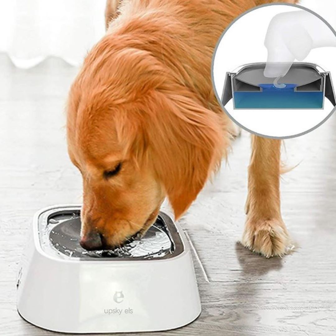 Moonval No-Spill Pet Water Bowl, Splash-Proof Dog & Cat Drinking Bowl with Floating Disk