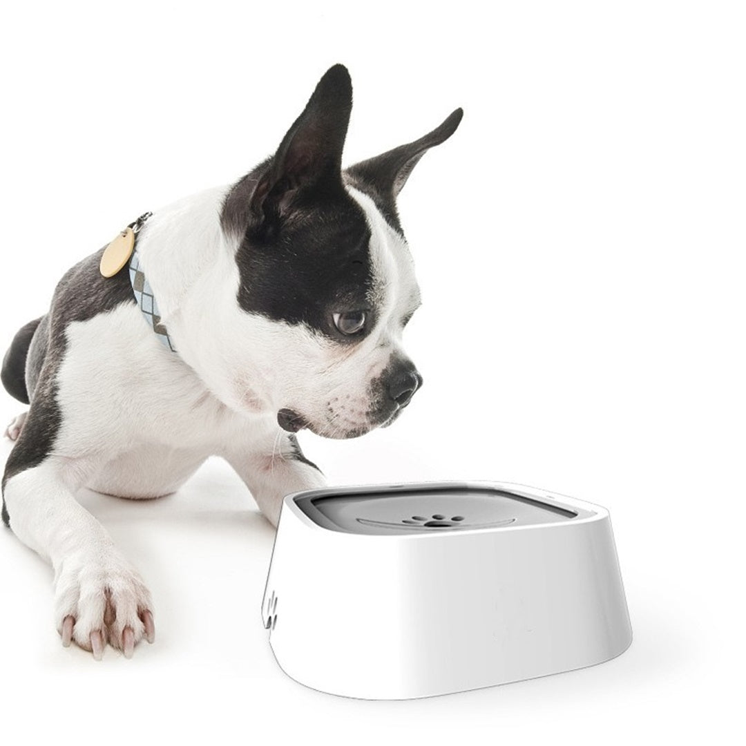 Moonval No-Spill Pet Water Bowl, Splash-Proof Dog & Cat Drinking Bowl with Floating Disk