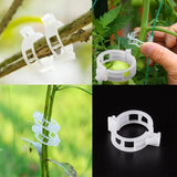 Moonval Plant Ties, Reusable Plastic Garden Plant Support Clips for Vines, Tomatoes & Vegetables