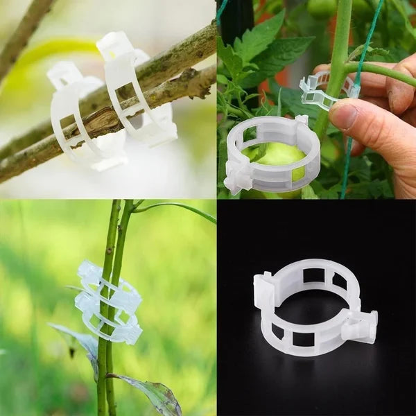 Moonval Plant Ties, Reusable Plastic Garden Plant Support Clips for Vines, Tomatoes & Vegetables
