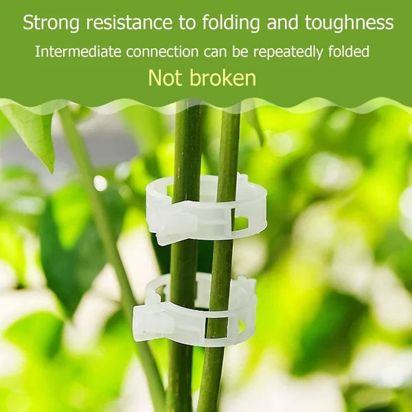 Moonval Plant Ties, Reusable Plastic Garden Plant Support Clips for Vines, Tomatoes & Vegetables