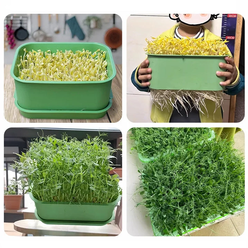 Moonval Stackable Bean Sprout Growing Box, Multi-Layer Sprouting Tray for Home Seed Germination