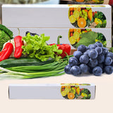 Moonval Plastic Wrap Dispenser with Cutter, Refillable Cling Film Storage Box
