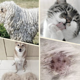 Moonval Pet Grooming Brush, Double-Sided Deshedding & Detangling Brush for Dogs & Cats